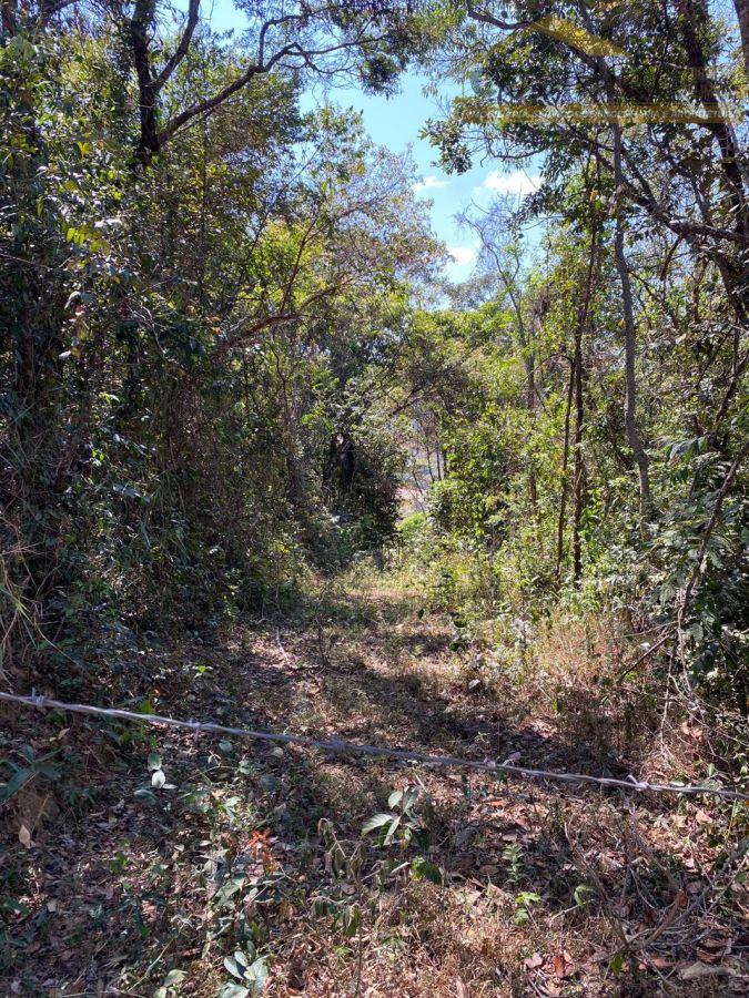 WhatsApp Image 2025-09-20 at 09.08.14 (3).jpeg